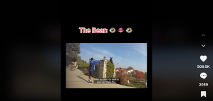 amazon driver raises arms at bear