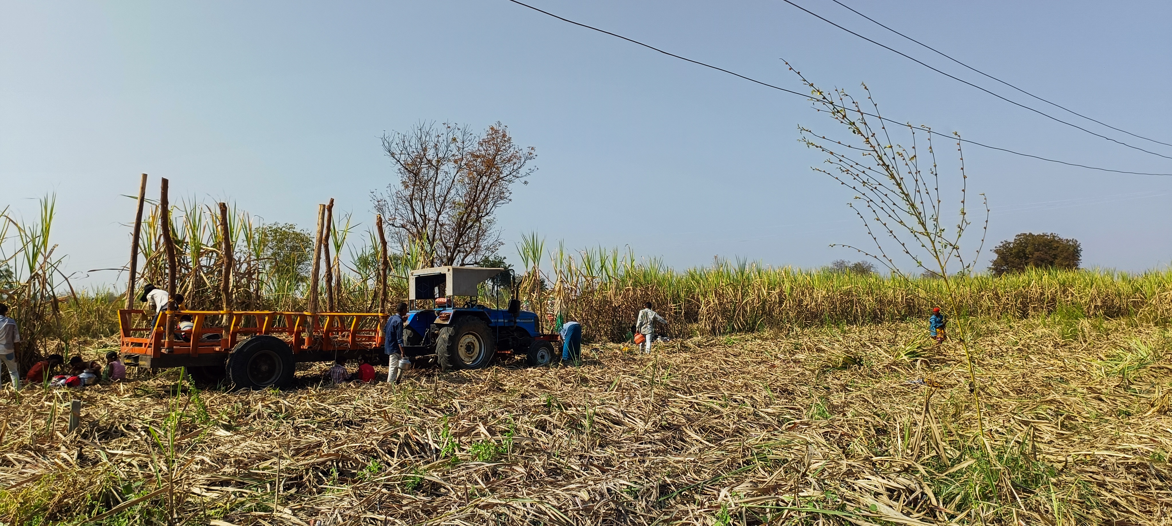 child workers, sugar industry, India