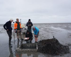 Archaeologists Discover Remnant of Lost Village Buried Under the Ocean for 600 Years