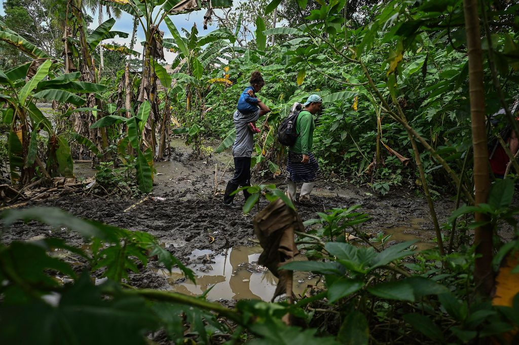 The clandestine journey through the Darien Gap usually lasts five or six days at the mercy of all kinds of bad weather: snakes, swamps and drug traffickers who use these routes to take cocaine to Central America.