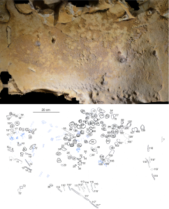 Archaeologists Discover World's Oldest Neanderthal Cave Engravings