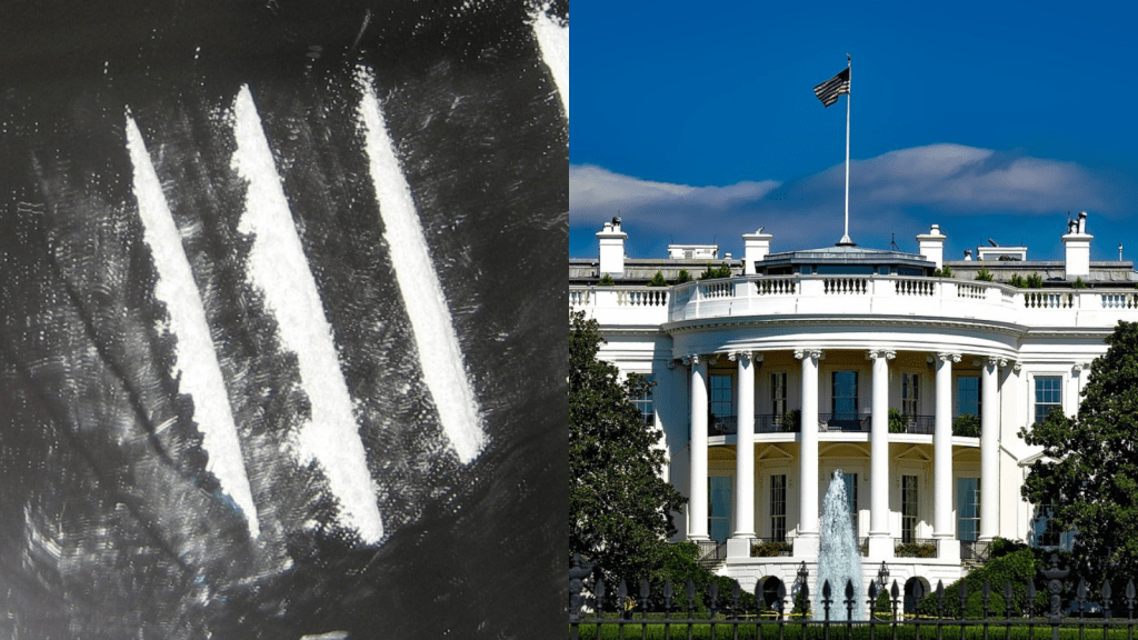 The Secret Service is investigating after cocaine was left in the West Wing of the White House on Sunday night.