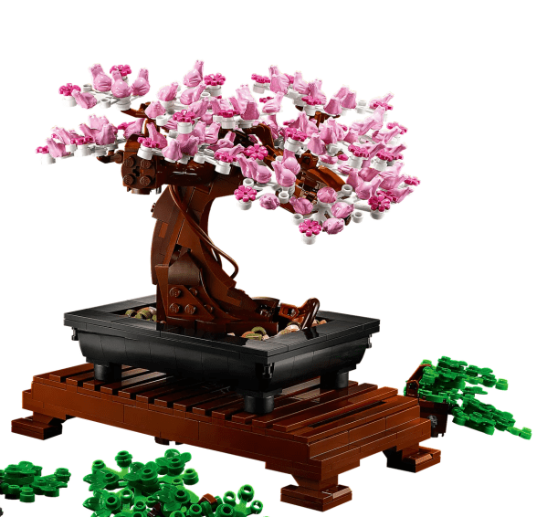 Bonsai Tree