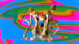 Magic mushrooms on a psychedelic background