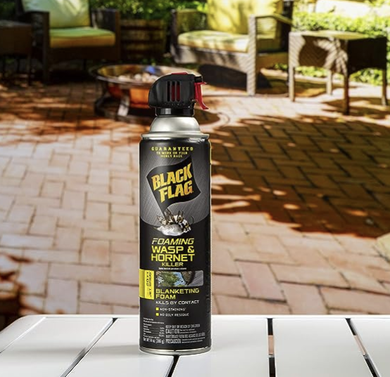 Foaming Wasp & Hornet Killer