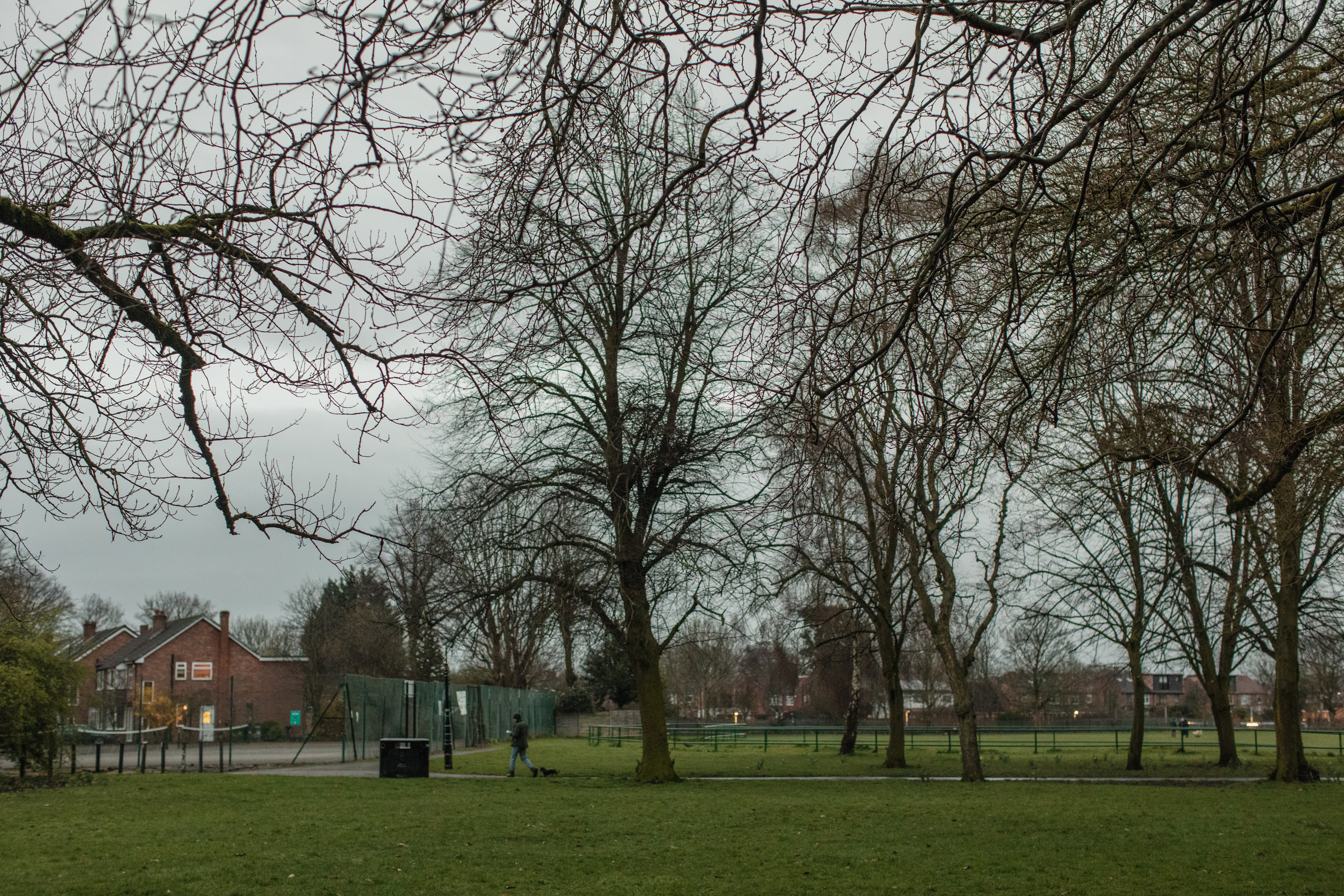 Manchester, UK: A park with trees with bare leaves