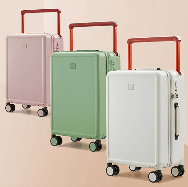 Fashionable Luggage