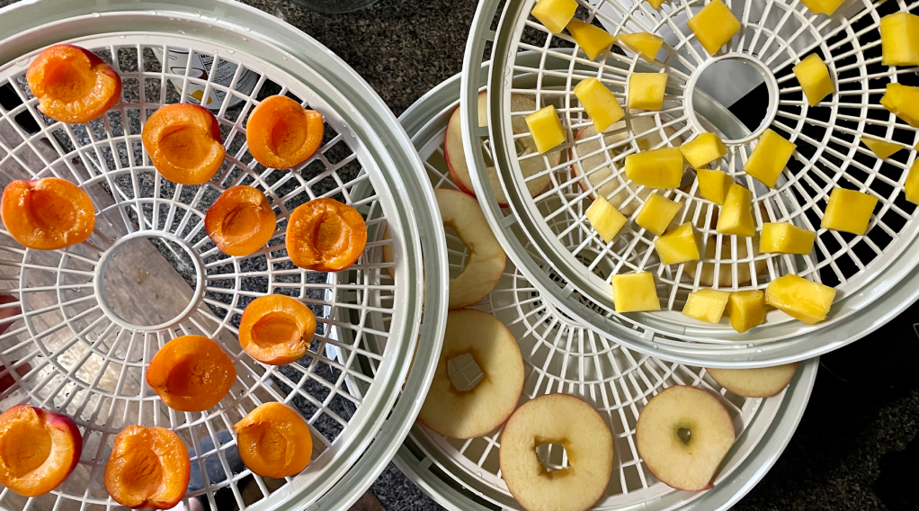 This Food Dehydrator Made Me a Snack Genius (and a Better Person)