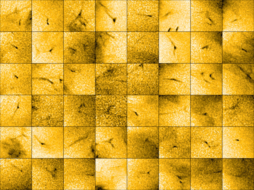 Scientists Discovered Something We've Never Seen on the Sun, and It Could Explain a Lot