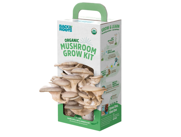 Organic Oyster Mushroom Grow Kit