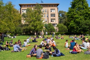 Students sitting on the grass at campus