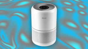 Review: The Levoit Core 300 Air Purifier Rocks