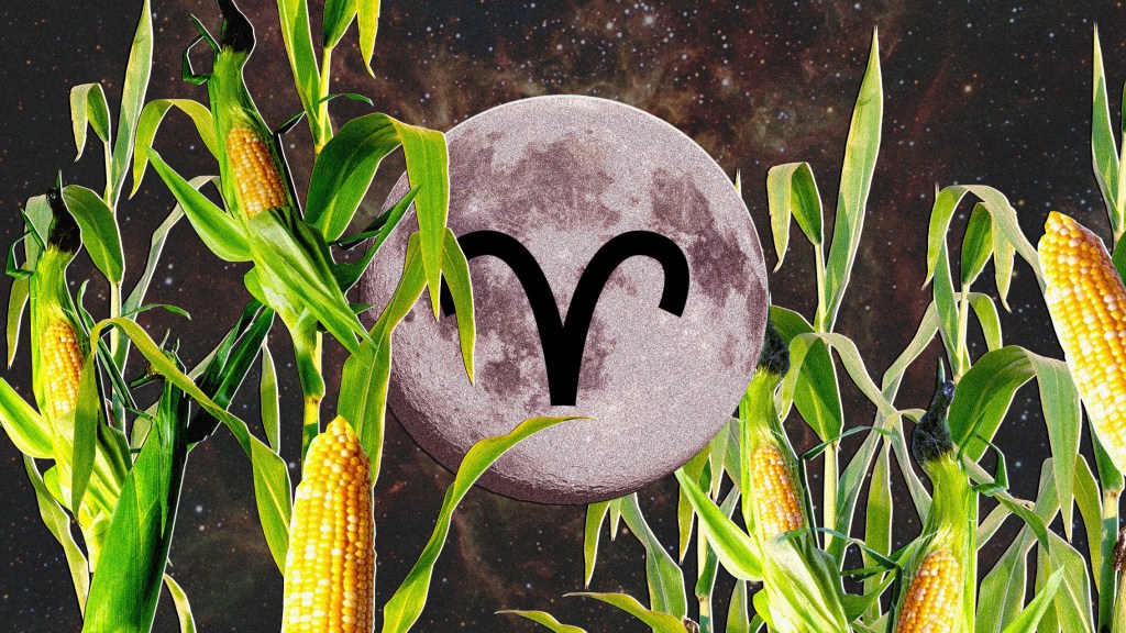 collage of the moon and corn representing the harvest moon in aries