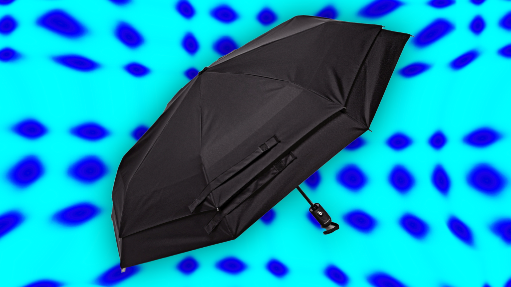 Review: The Samsonite Windguard Auto Umbrella Is Immortal