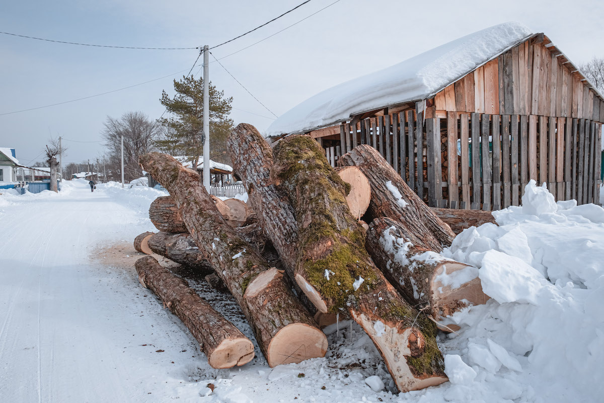 François Artusse, Udege people Russia – A pile of logs laying in the snow next to a wood shed.