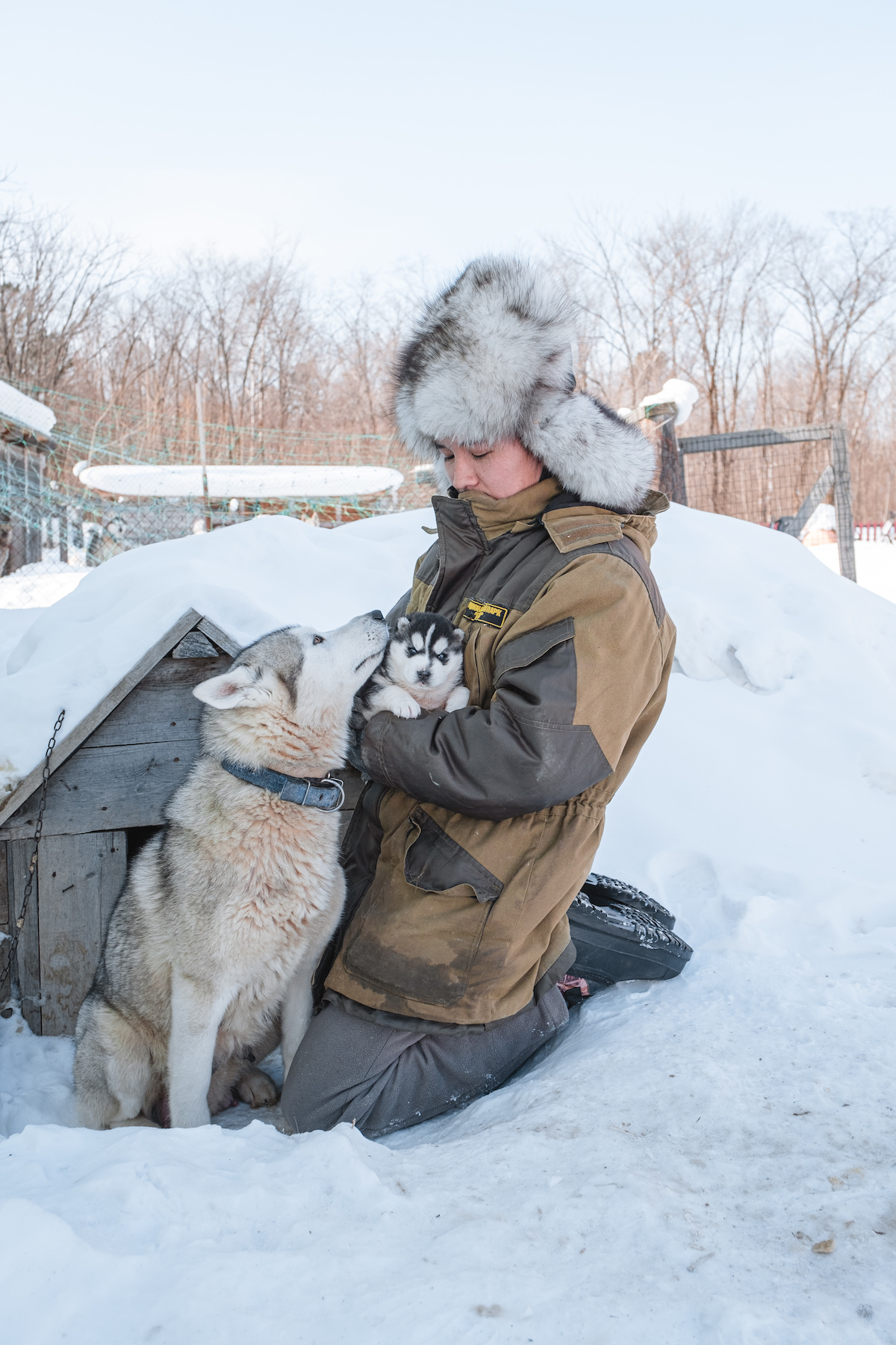 François Artusse, Udege people Russia – man kneeling on the ground next to a doghouse covered in snow, holding a husky puppy while his mother sniffs him.