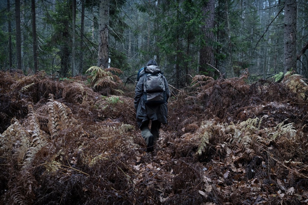 Photos From the Ancient Forest Where Migrants Hide in Fear