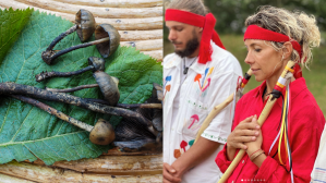 Mushrooms photo by Nathaniel Janowitz.  Right image courtesy of Alejandra Lagunes.