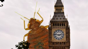 A collage of a huge bed bug creeping behind big ben tower in london.