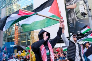 Thousands of protesters rallied peacefully in New York City in support of Palestinians on Friday