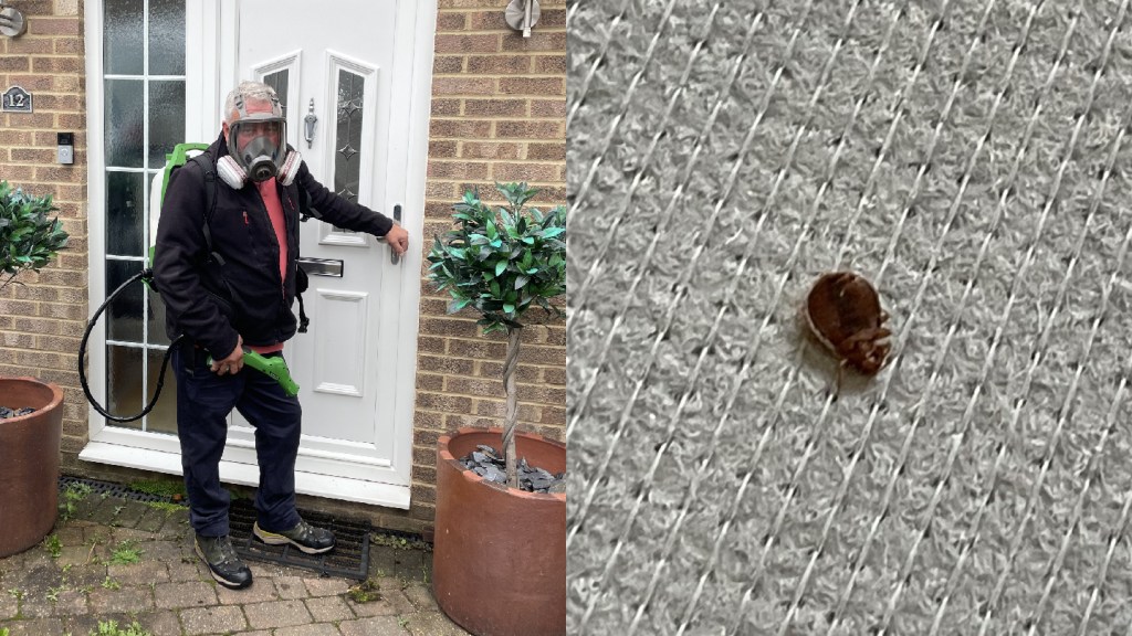 Bedwantsenverdelger draagt een wearing mask to spray house in Sussex, UK