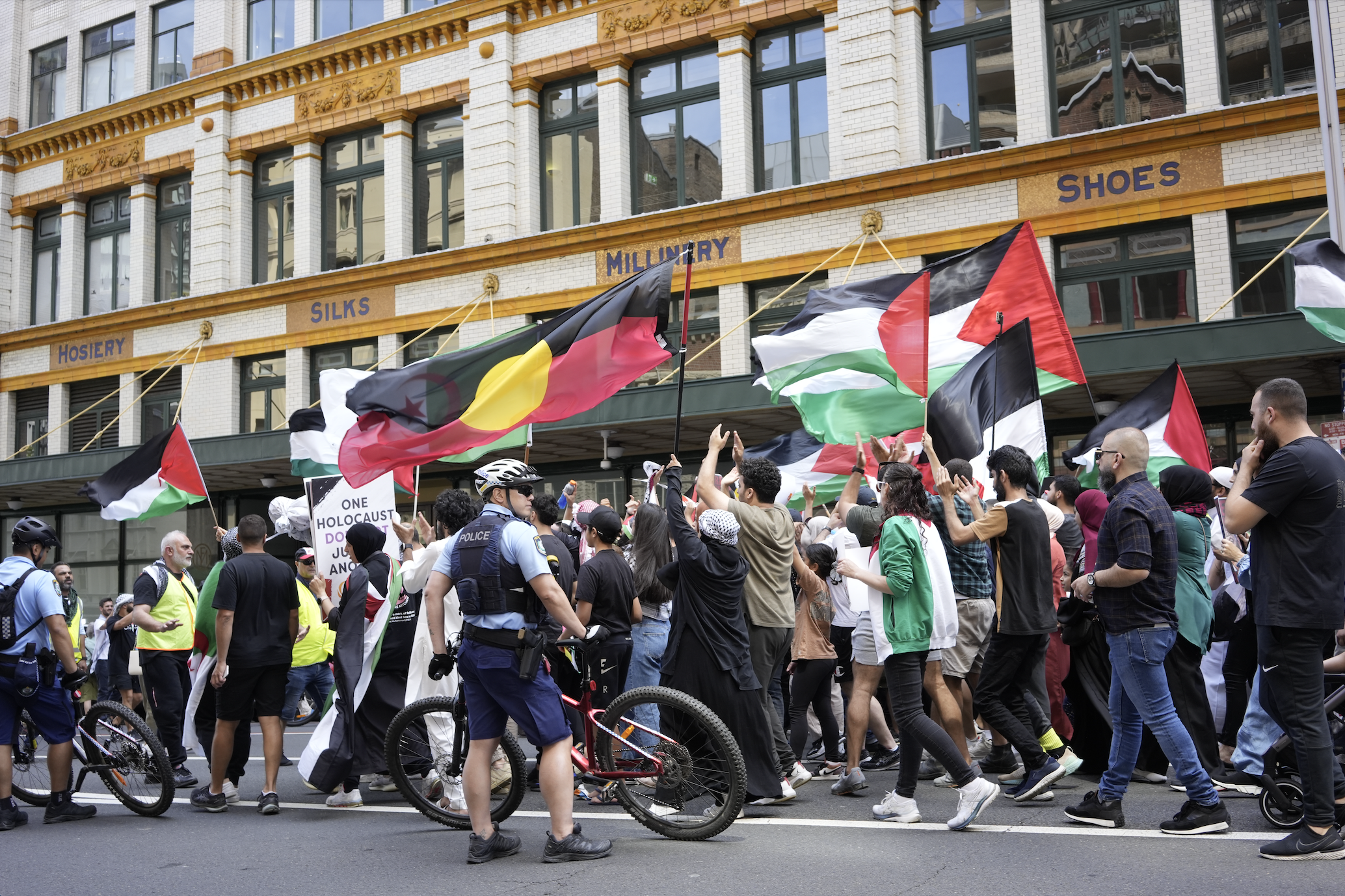 sydney palestine rally