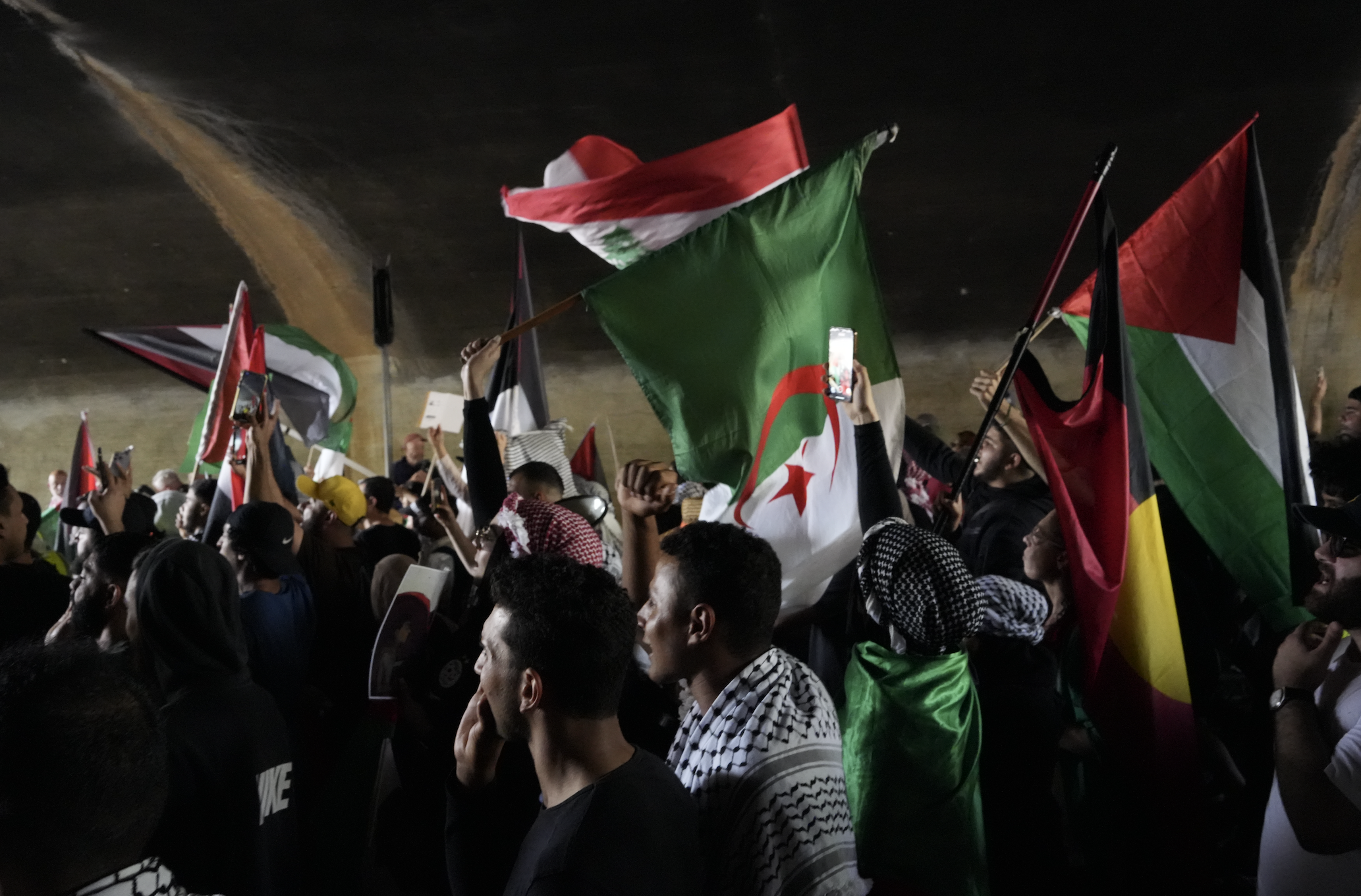 sydney palestine rally crowd