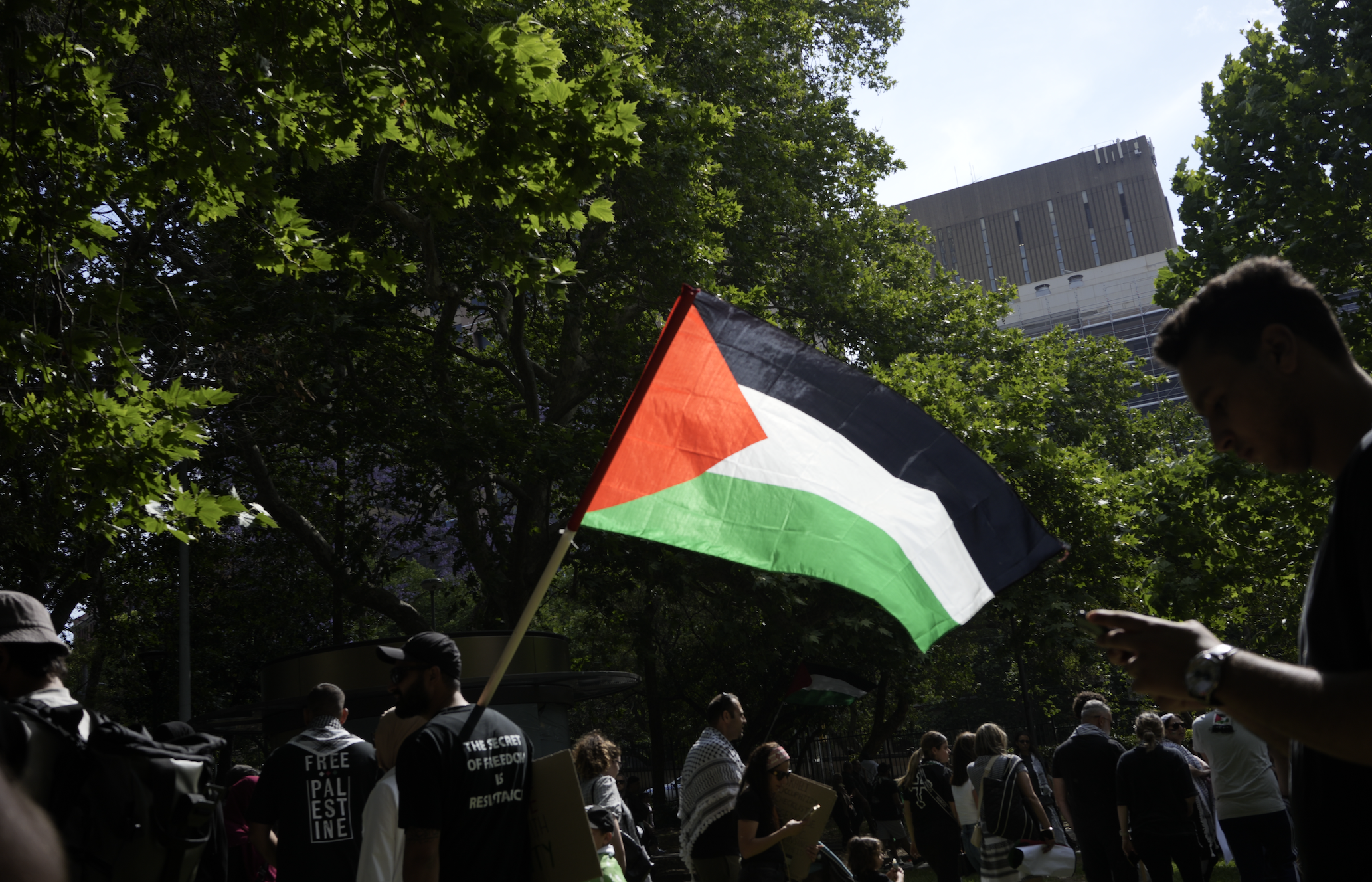 sydney free palestine rally flag