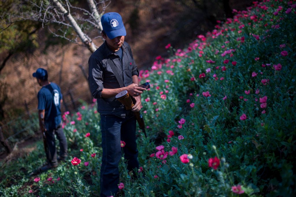 Hitmen Just Murdered 13 Police Officers in Mexico’s Heroin Heartlands