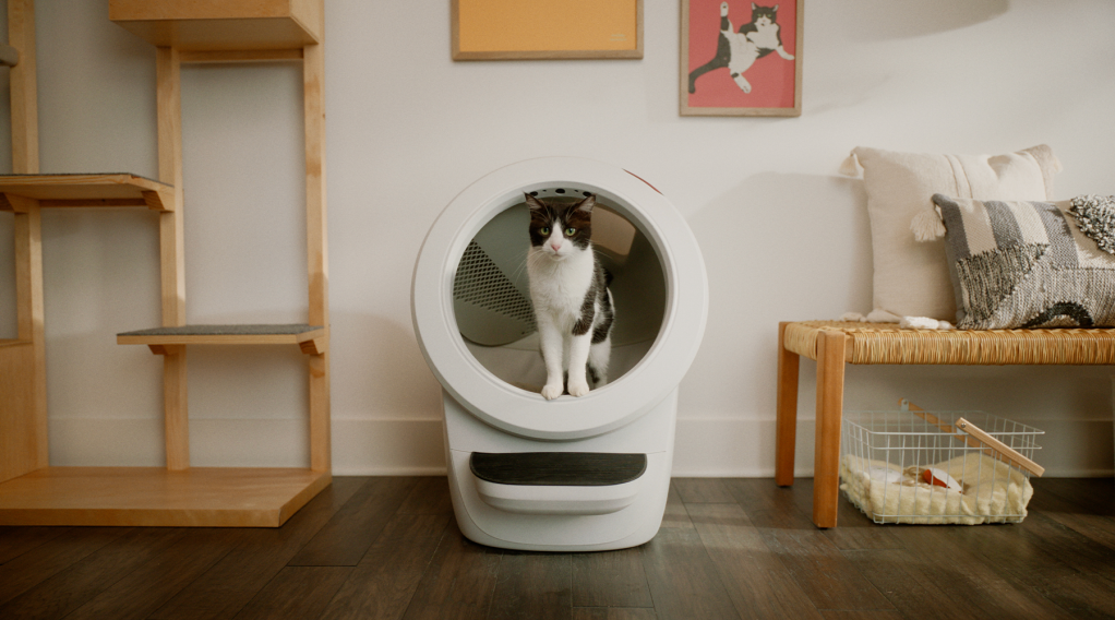 Love Your Cat Track Its Bathroom Schedule With This High Tech Litter Box