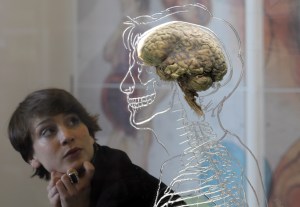 A woman looks at a brain