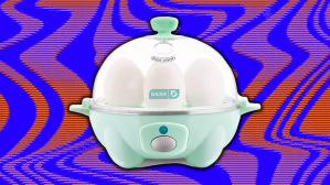 A Review of the Dash Rapid Egg Cooker That Went Viral in 2023