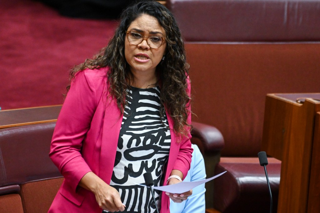 Jacina Price in parliament