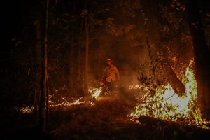 ​A firefighter works on a bushfire in Newcastle, December 14 2020. Photo by  Roni Bintang / Stringer​ via Getty Images.