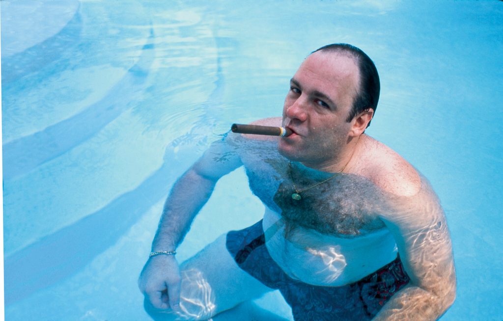 James Gadolfini as Tony Soprano in ​The Sopranos