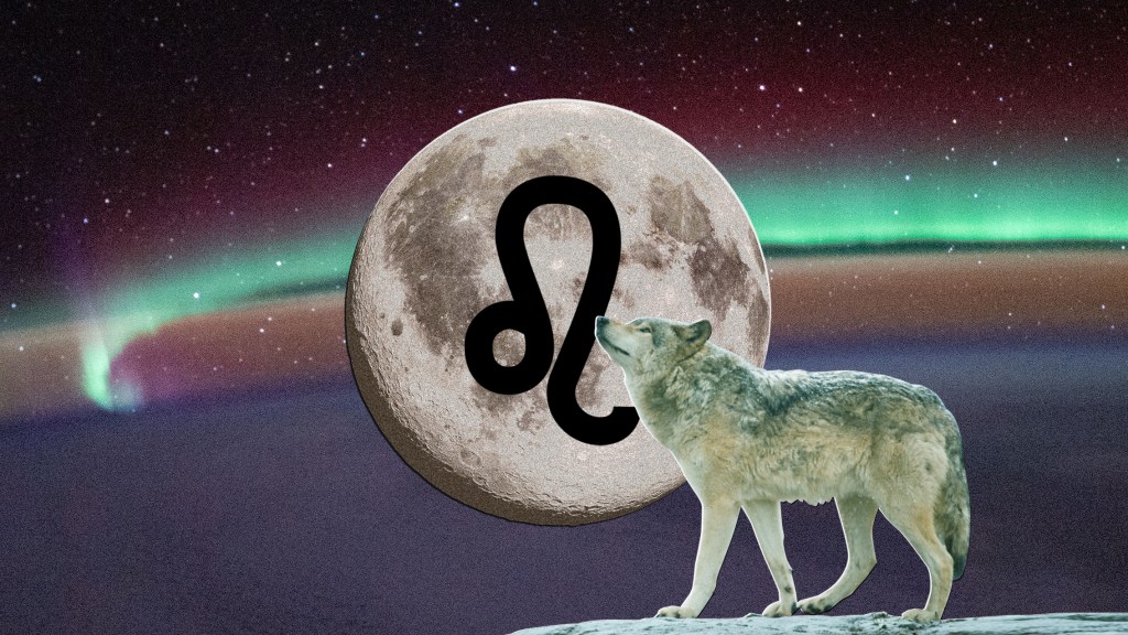 The Full Wolf Moon: January’s Full Moon in Leo