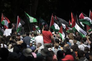 People in a pro-Palestine crowd