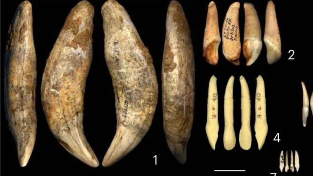 Scientists Discover Stunning Evidence of Multiple Lost Prehistoric Societies