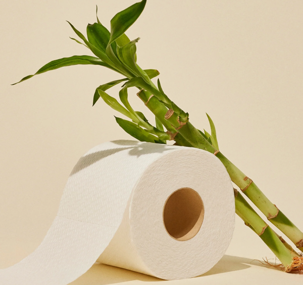 Reel Bamboo Toilet Paper