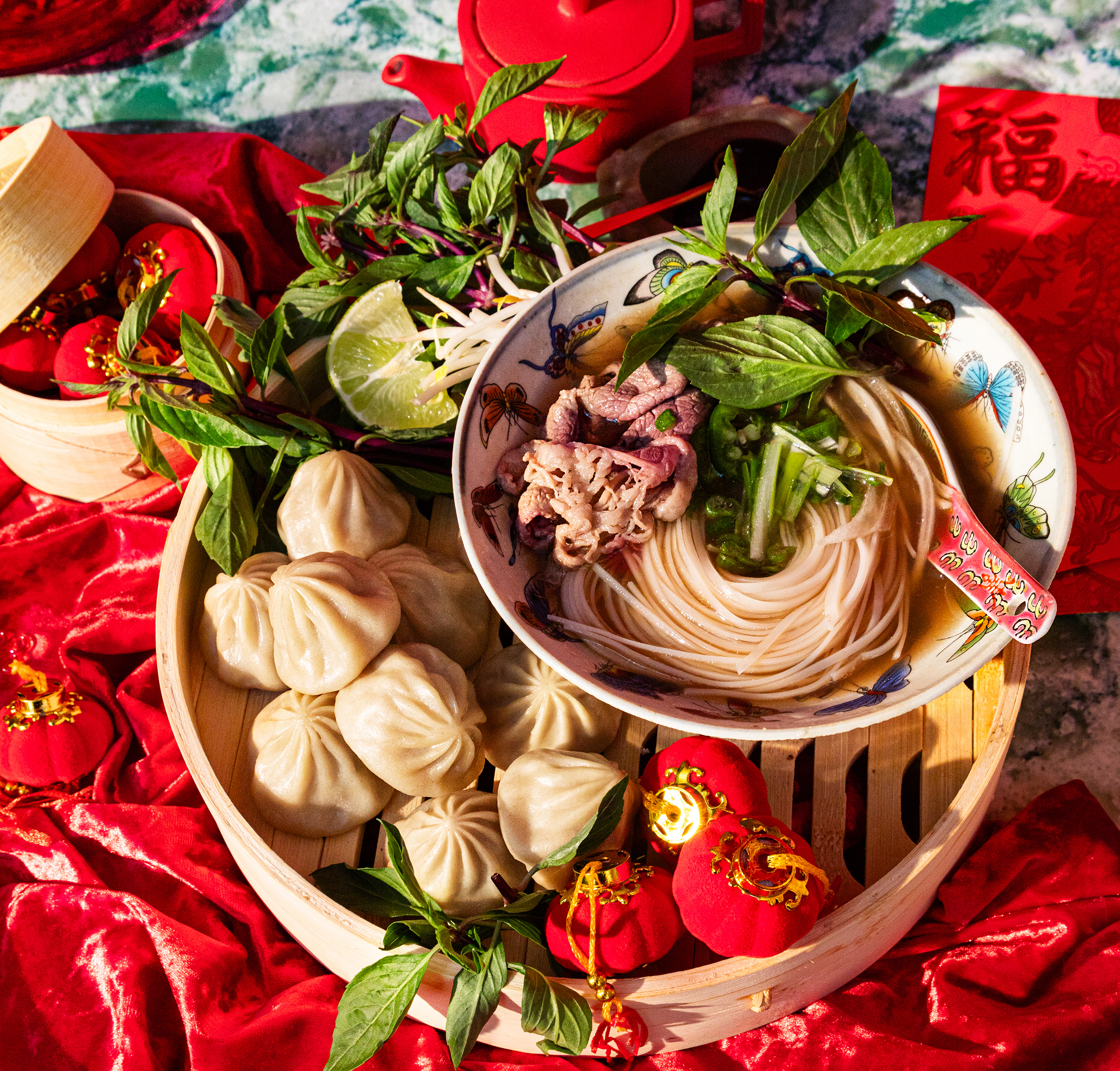 pho beef soup dumplings