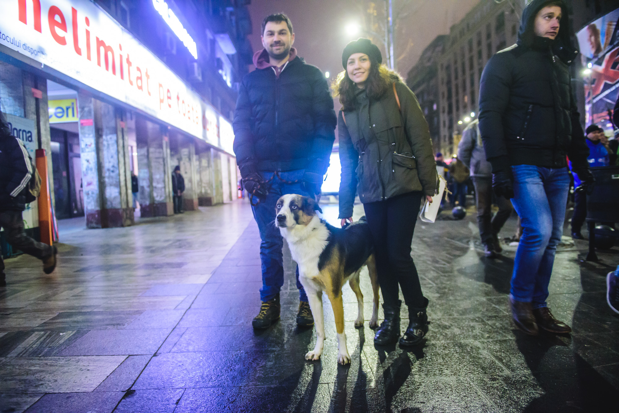 Câine la protest, Ozzi