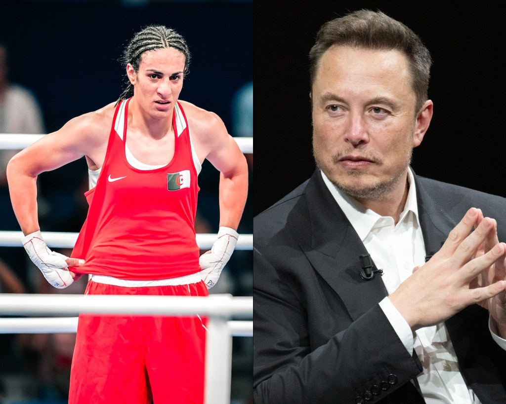 elon musk algerian boxer