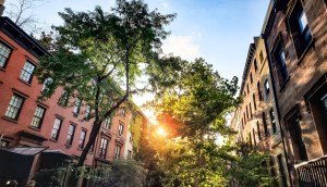 Tree lined block in the Greenwich Village neighborhood of New York City.