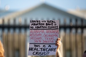 Reproductive Justice Rally Outside White House, Washington, d.c., United States - 23 Aug 2022