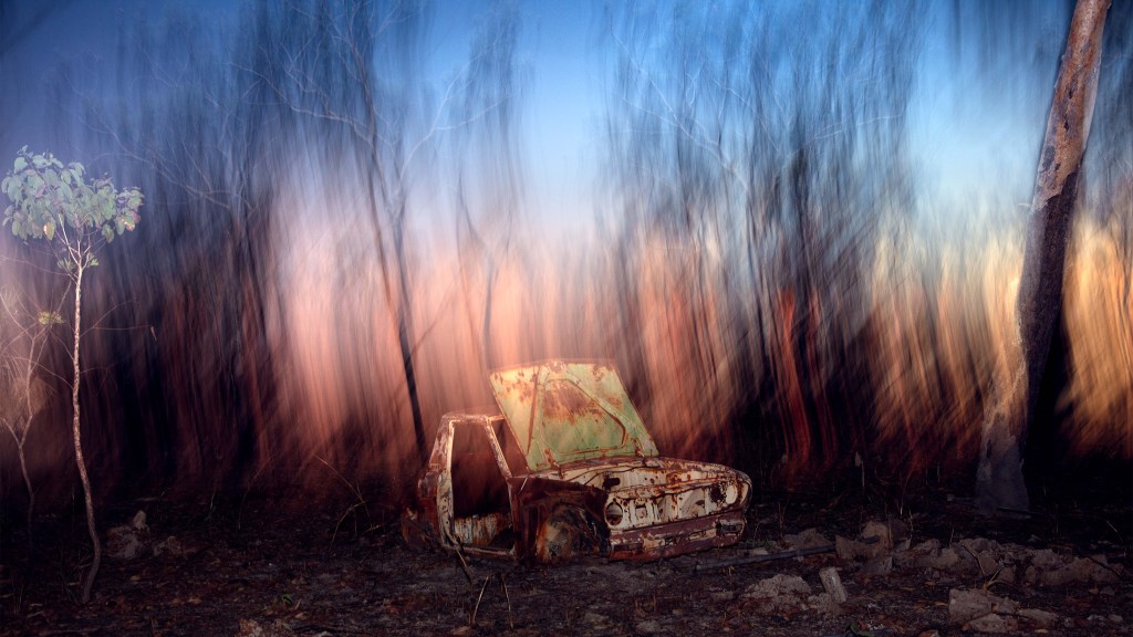 Liss Fenwick Turns Termite Mounds into Supermodels of the Outback