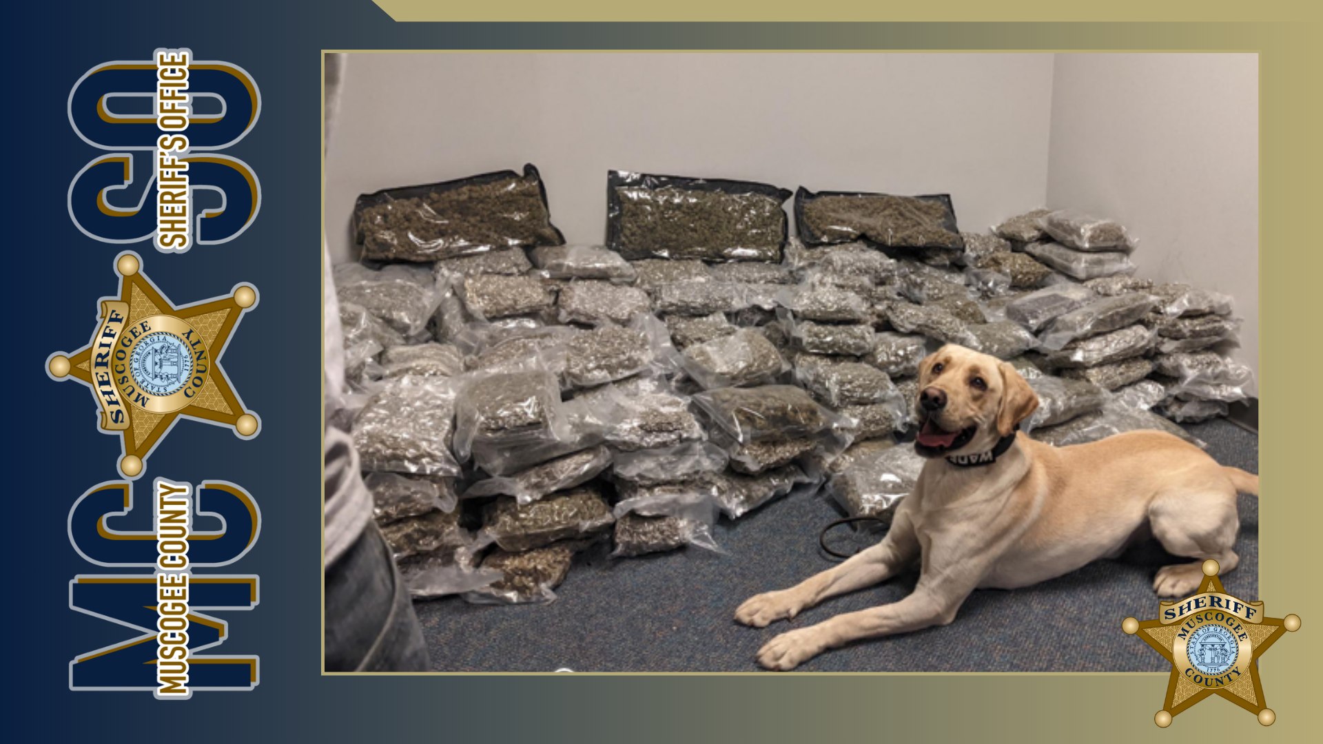 55,000 pounds of marijuana seized in Georgia drug raid “Operation Sweet Silence”