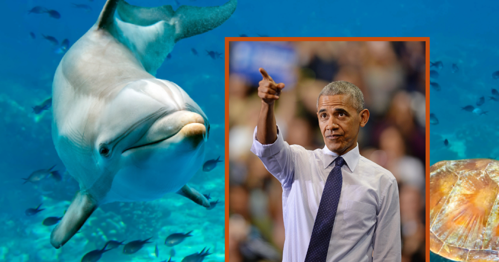 obama nature doc narrator oceans