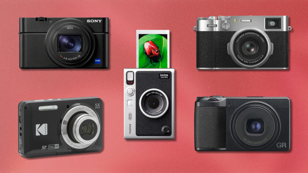 The 11 Best Point and Shoot Cameras (For Ditching Your Phone Without Going Broke)