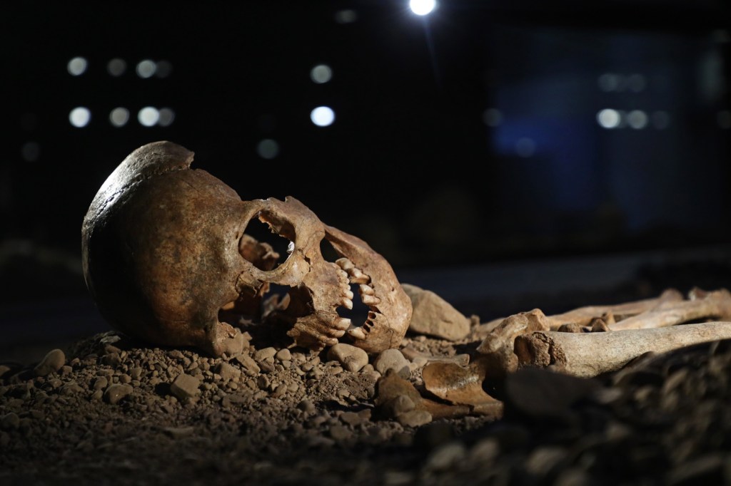 skeleton in basement