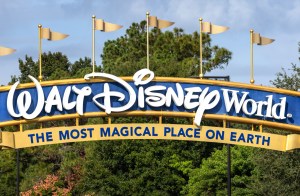 disney world scam new york schools homeless students